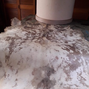 Muestra pieles naturales de animales como parches de tambor, lo más probable es que se hayan hecho de piel de cabra. Esta es una alfombra de piel de vaca natural con pelo. - Product Image 2