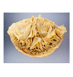 เนื้อวัวเค็มแช่แข็งสำหรับอุตสาหกรรมส่งออกและแปรรูปอาหาร - Product Image 2