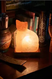 Lampes en forme de chat de sel de l'Himalaya avec ampoule et câblage, lampes au sel de l'Himalaya de qualité supérieure, lampes au sel de l'Himalaya pakistanais - Product Image 3