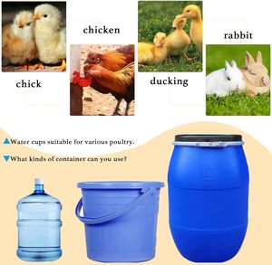 Nuevo sistema automático de vasos para bebederos de pollo, <span class=keywords><strong>bebedero</strong></span> de plástico para aves de corral - Product Image 5