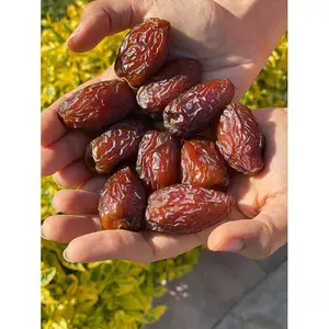 Kurma kering kualitas bagus 100% kurma Jinsi Jujube tanpa biji organik