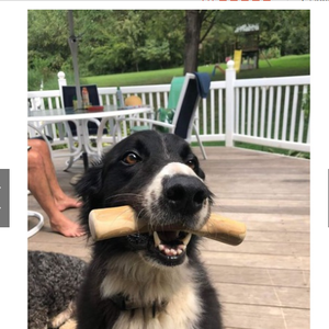 Juguete hecho a mano de madera para café, juguete para mascotas, precio barato - Product Image 3