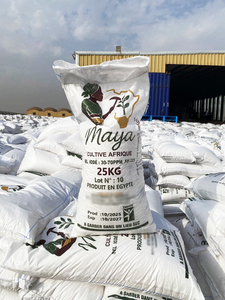 Sal del Mar Céltico Blanca Orgánica Refinada con 99.8% de Pureza, en Polvo, con Yodo Opcional, Bolsa de 25 kg, Grado Alimenticio, Egipto - Product Image 6