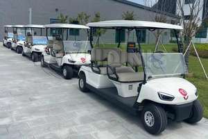 Nouvelle arrivée : Chariots de golf électriques 2 places au design exclusif pour partenaires, vente en gros pour Miami, Floride, États-Unis/Émirats arabes unis - Product Image 4
