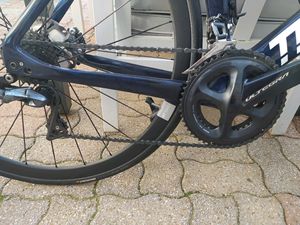 Calidad Thompson Falcon - Product Image 3