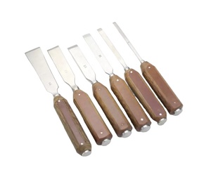 Vente en gros usine Nouveau modèle Fournisseur direct Instruments chirurgicaux orthopédiques Ciseaux à os Manche en fibre d'acier Lot de 6 pièces - Product Image 1