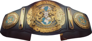 Ceintures de championnat de lutte Trophées Médailles et récompenses le symbole ultime de la victoire et de l'excellence Ceintures de championnat - Product Image 3