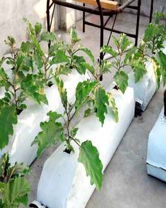 Sacs de culture de jardin en plastique - Product Image 4