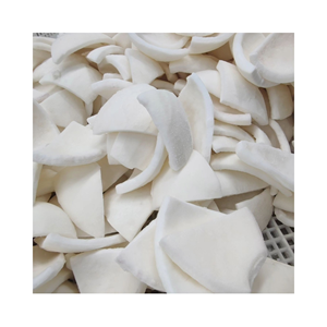 VIANDE DE NOIX DE COCO SÉCHÉE délicieuse collation naturellement fraîche sans colorant artificiel du Vietnam bas prix qualité supérieure - Product Image 1