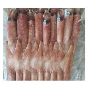 ปลาหมึกยักษ์แช่แข็ง ปลาหมึกโลลิโก้จับจากธรรมชาติ ทั้งตัว - Product Image 1