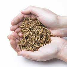 อาหารแมลงวันดำอบแห้งโปรตีนสูงจากธรรมชาติสำหรับนก ไก่ สัตว์เลื้อยคลาน และปลา ขายส่ง - Product Image 6