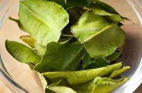 Hojas de limón secas congeladas orgánicas Ángulo de origen de Vietnam-Beber y cocinar - Product Image 2