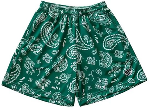 2025 sur mesure Hip Hop Sublimation Polyester ajustement rapide juste hommes broderie maille basket-ball Shorts avec logo - Product Image 5