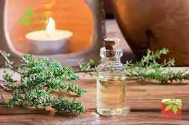 Huile essentielle de thym 100% pure de haute qualité en gros, fabricant, 100% pure et naturelle, huile de thym de qualité supérieure de l'Inde - Product Image 4
