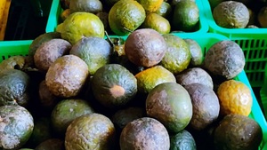 330มล. สามารถ vinut เลือดส้มน้ำอัดลมน้ำอัดลมไดเรกทอรีผู้ผลิตเครื่องดื่มอัดลม - Product Image 2