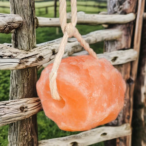 Direct Manufacturer's High Quality Himalayan Lick Salt Block Dried in Rope Style Animal Feed for <b>Dogs</b> Cattle Horses - Product Image 1