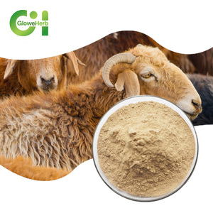Vendita calda testicolo di agnello in polvere testicolo di pecora liofilizzato polvere Ram testicolo in polvere - Product Image 1