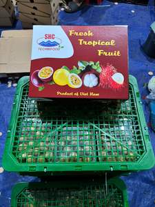 Longan Fresco de Origen Vietnamita de Primera Calidad, Sabor Dulce, Rico en Vitaminas para Exportación y Mercados Internacionales - Product Image 4