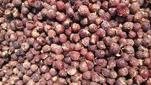 Venta al por mayor Sapindus Saponaria hecho en Vietnam proveedor especializado en la exportación de jabón de vacaciones - Product Image 5