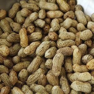 Prix compétitif Cacahuètes bouillies/Cacahuètes bouillies surgelées de meilleure qualité - Product Image 1