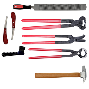 Le kit professionnel de soins du sabot de cheval de haute qualité comprend des pinces à sabot tondeuses marteau couteau fichier brosse Instrument vétérinaire pour - Product Image 6