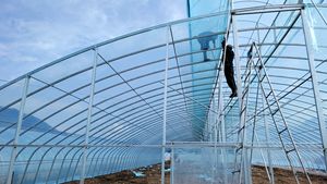 เรือนกระจกแบบตาข่ายสำหรับระบายอากาศได้ดีเรือนกระจกขนาดใหญ่เรือนกระจกสำหรับใช้ในพื้นที่เขตร้อนโรงเรือนทางการเกษตร - Product Image 2