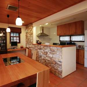 Bois pétrifié naturel décoratif durable moderne innovant pour le revêtement mural - Product Image 3