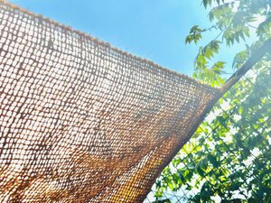 FILET D'OMBRAGE NATUREL EN NOIX DE COCO VOILES EN GROS SOLAIRE FIBRE DE COCO FIBRE DE VOILE POUR PATIO EXTÉRIEUR COUVERTURE PAR ECO2GO VIETNAM - Product Image 3