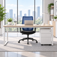 Chaise de bureau moderne en maille, pivotante et réglable, avec dossier confortable, idéale pour les solutions de bureaux commerciaux
