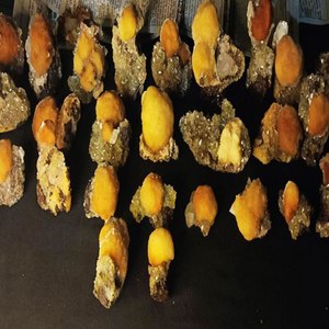 ธอมโซไนต์โคลเวอร์ธรรมชาติสีเหลืองจากอินเดีย - Product Image 1