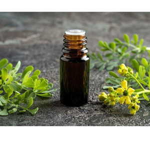 Purity Rue huile essentielle à prix de gros Contactez-nous pour les demandes de renseignements en vrac 100% Pure Natural Essential Street Oil Export Quality - Product Image 6
