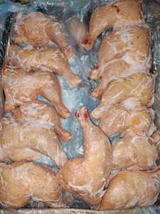 Poulet congelé de première qualité / Pièces de poulet congelées - Product Image 4