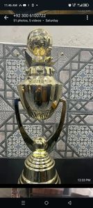 Stainless Steel Sports <b>Trophy</b> <b>Cup</b> Customized Achievement Award Display Durable Premium Quality - Product Image 4