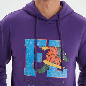 Vente en gros de sweats à capuche imprimés avec logo personnalisé pour hommes sweats à capuche streetwear épais 100% coton sweats à capuche pour hommes - Product Image 6