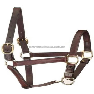 Licou de cheval en cuir véritable marron fabriqué en inde, double couture, peau de vache rembourrée sur mesure, licou de cheval en laiton - Product Image 4