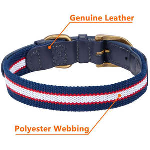 ปลอกคอสุนัขหนังทนทาน ดีไซน์เสริมความแข็งแรง ปรับขนาดได้ สำหรับสุนัขขนาดเล็ก กลาง และใหญ่ - Product Image 5