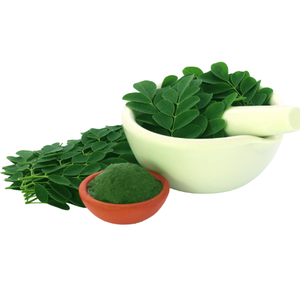 Fournisseurs de gros Poudre de feuille de Moringa Poudre de feuilles de Moringa séchée en poudre à base de plantes Bonne qualité Poudre de feuille de Moringa pure du Vietnam - Product Image 2