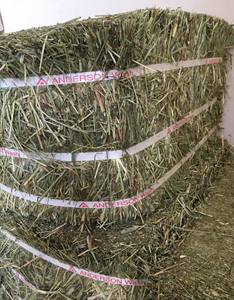 Heno de Timothy Orgánico de Alto Contenido Proteico, Grado Alimenticio para Animales, de Fábrica China, Empacado en Bolsas, Precio de Venta - Product Image 3