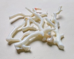 Palo de coral japonés genuino, 7 piezas, palo pulido de coral blanco, piedra preciosa suelta de coral japonés - Product Image 4