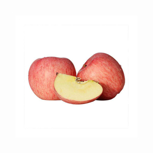 Pomme Fuji rouge fraîche sucrée croustillante organique naturel propre emballé fournisseur d'exportation en vrac fruits de qualité ferme de qualité juteuse de qualité supérieure - Product Image 2
