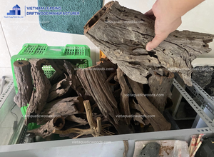 High Quality Huge <b>Driftwood</b> <b>for</b> <b>Aquariums</b> Wholesale From Vietnam Manufacturer - Product Image 5