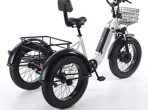 Triciclo Eléctrico con Marco de Aluminio y Neumáticos Anchos, Disponible en Stock, 500W 48V 12Ah, Freno de Disco, Utilitario de Carga, Alcance de 40km - Product Image 2