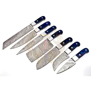Cuchillos de cocina profesionales de acero de Damasco de alta calidad de 7 piezas, juego de Chef, mango de madera con bolsa de cuero, fácil de llevar