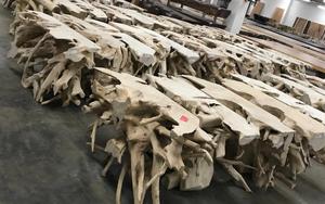 ของตกแต่งบ้านทำจากไม้สักรากทำจากไม้สักโต๊ะกาแฟโบราณตกแต่งห้องนั่งเล่น - Product Image 3