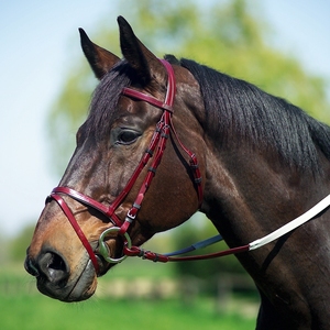 Venta al por mayor equipo ecuestre PVC caballo brida goma circunferencia riendas brida impermeable duradera caballo brida - Product Image 4