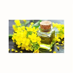 Aceite de Colza de Alta Calidad, Puro y Saludable, Suministro a Granel para Exportación y Mercados Mayoristas - Product Image 3