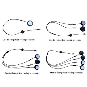 โมดูลทำความเย็นเพลเทียร์เซมิคอนดักเตอร์สำหรับเสื้อกั๊กทำความเย็นในฤดูร้อน - Product Image 1
