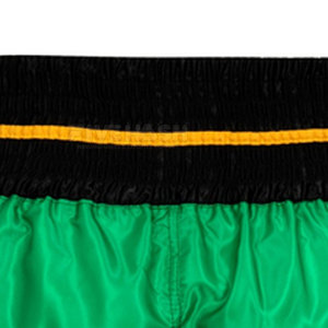 Shorts de boxe pour entraînement et fitness, shorts de boxe personnalisés, prix de gros pour shorts de boxe - Product Image 5