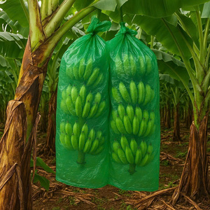 บานาน่าบันชท์ยอดนิยม1000กก. ถุงพลาสติกพีพีกั้นสำหรับปลูกผลไม้ - Product Image 6