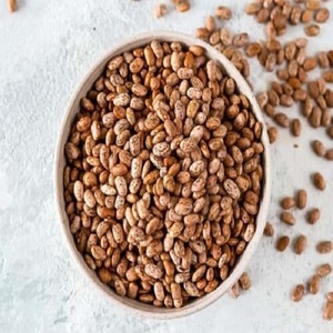 Frijoles Pinto DE CALIDAD 100% en embalaje a granel - Product Image 1